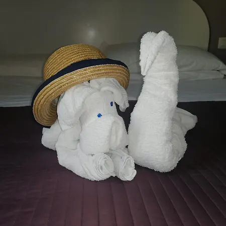 ゲストハウス Carafa Suite - Plus - Plus II ナポリ