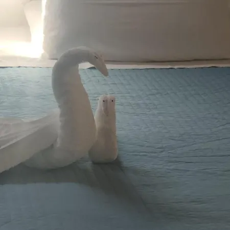 Carafa Suite - Plus - Plus II Affittacamere Napoli